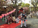 櫻花祭(おうかさい)